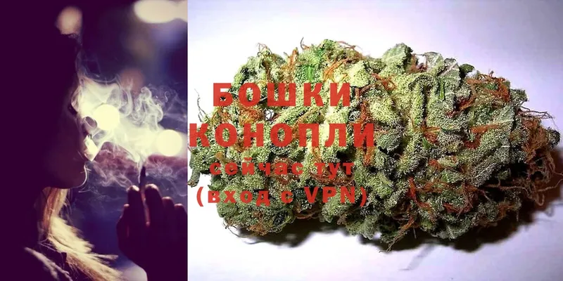 Шишки марихуана SATIVA & INDICA  Вязьма 